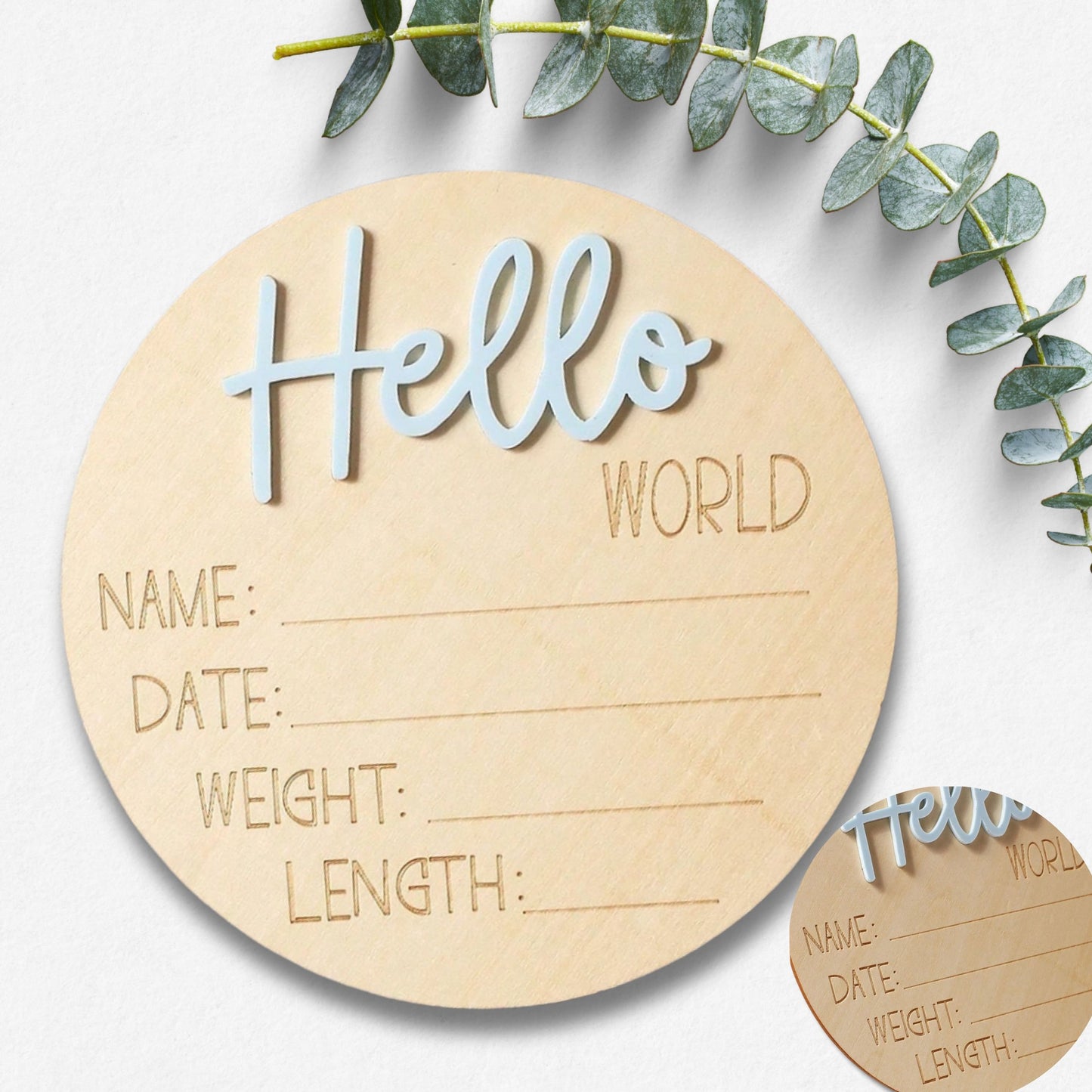 Hello World Baby Announcement Disc