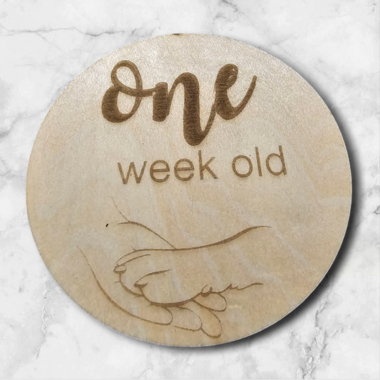 Puppy Milestone Discs keepsake from PeppaTree Designs, breeder's edition, featuring engraved discs with puppy milestone dates and details.