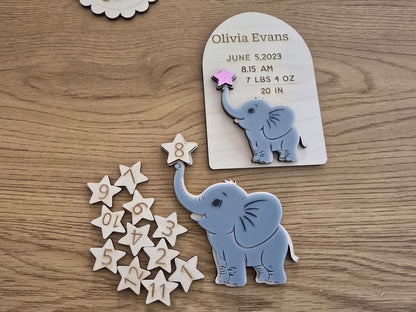 Elephant Nursery Decor | Custom Baby Name Births Stats Plaque - PeppaTree Designs