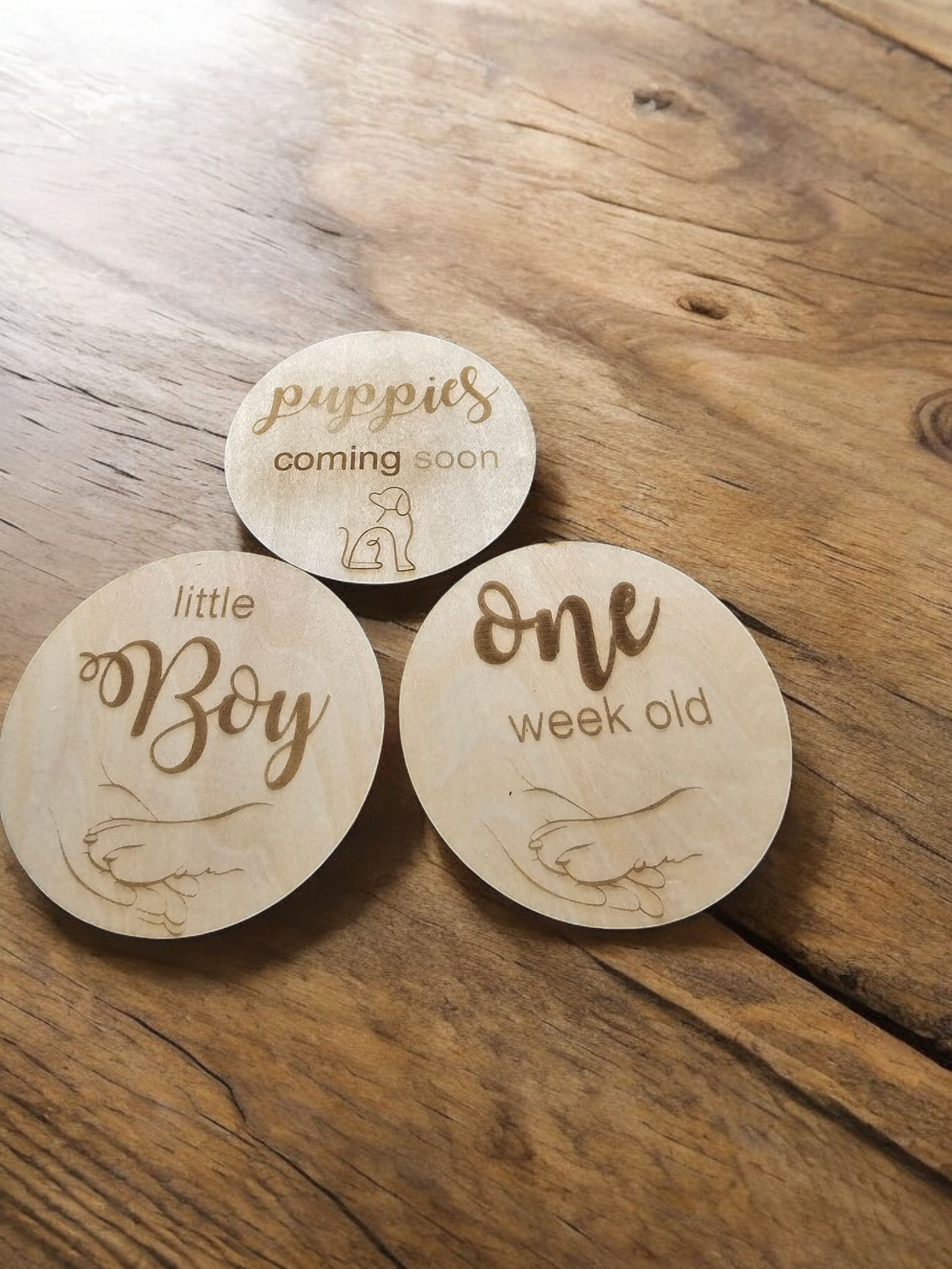 Puppy Milestone Discs - Breeder's Edition - PeppaTree Designs